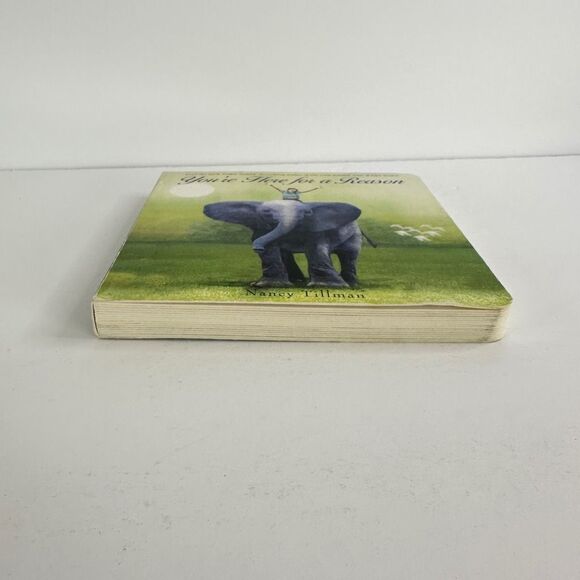 2/$6 You’re Here for a Reason book by Nancy Tillman (Board Book) - Picture 10 of 12